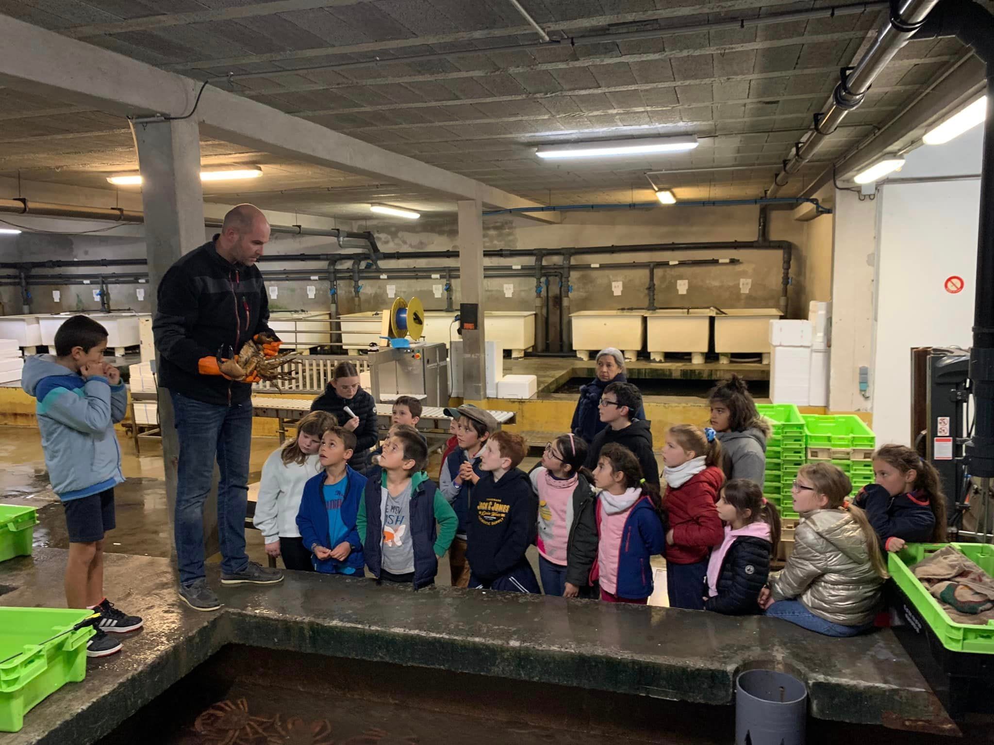 Visite de l'entreprise Les Viviers