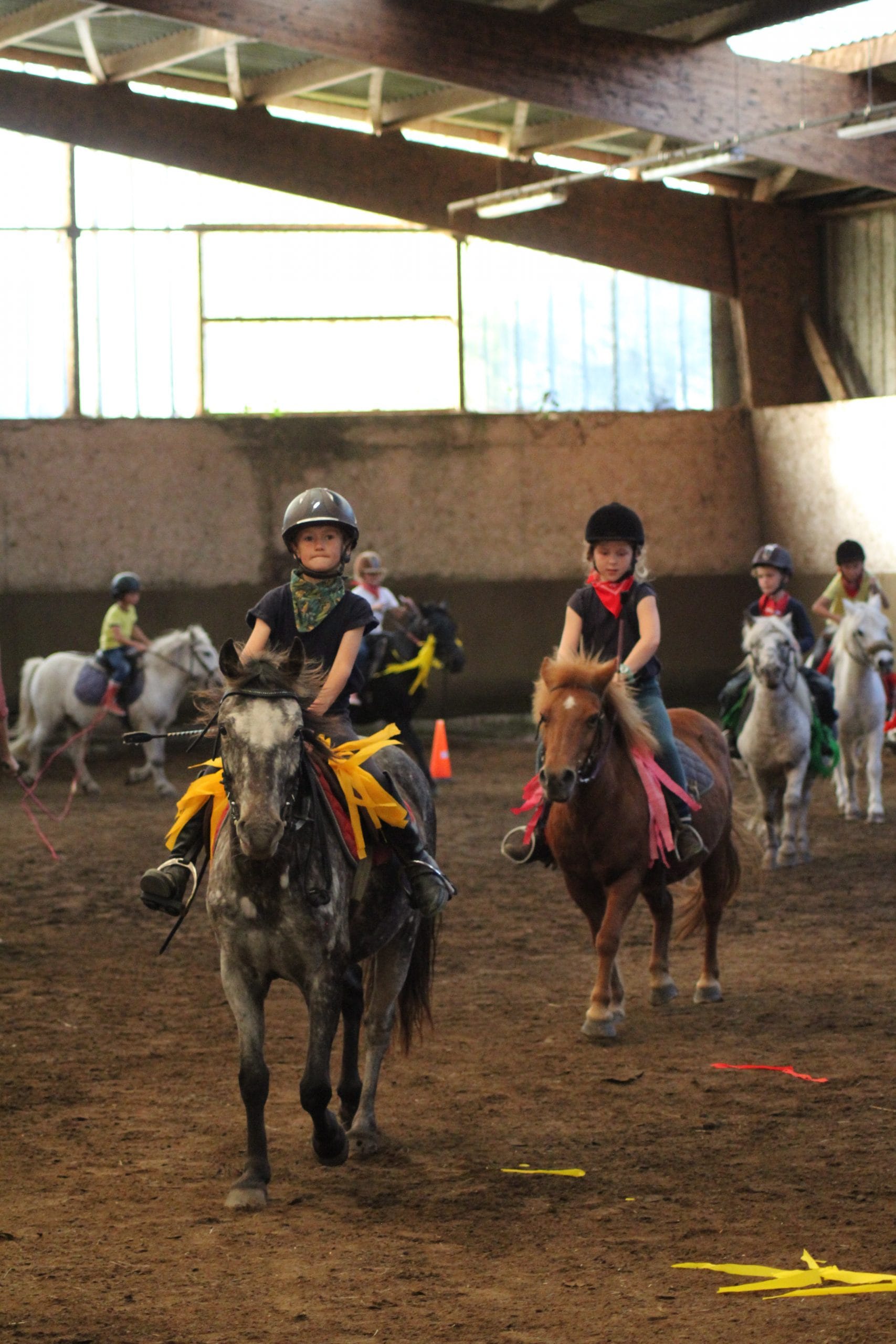 Le projet d'école 2021-2022 de l'école Saint-Tudy autour des arts équestres